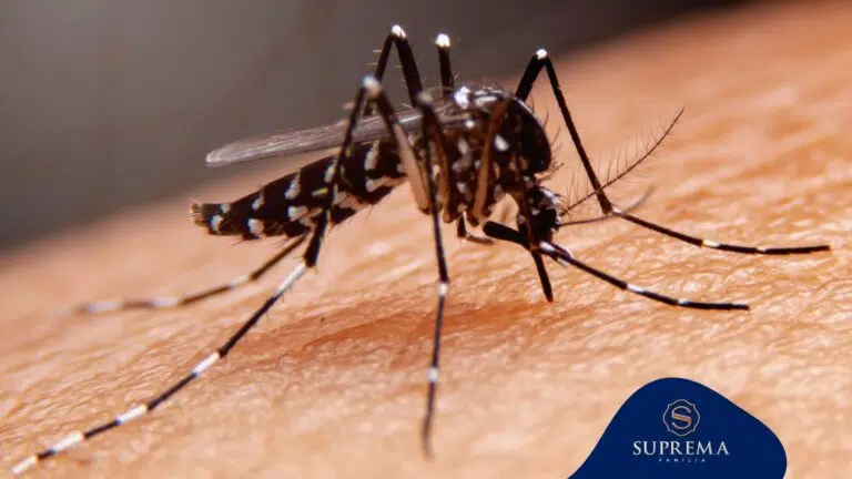 Vacina da Dengue