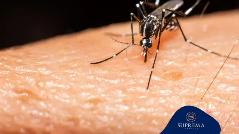 Vacina da dengue